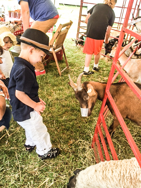 2014 07 16 County Fair-2