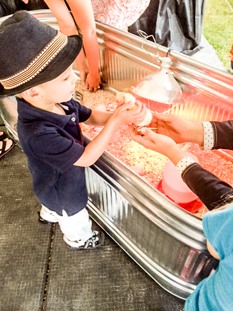 2014 07 16 County Fair-4