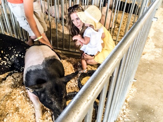 2014 07 16 County Fair-9