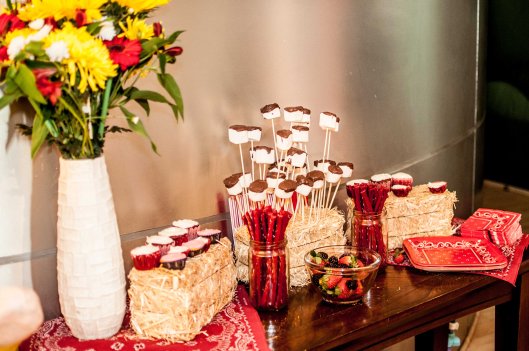 2015 01 25 This Ain't My First Rodeo (It's my 2nd) (1 of 32)